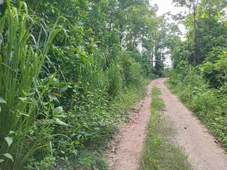 ขาย ที่ดิน ใน แม่สรวย, เชียงราย