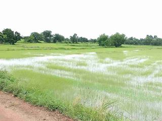 Продажа Участок в Pak Phli, Накхоннайок