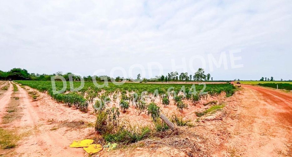 出售 土地 在 Non Sa-At, Udon Thani