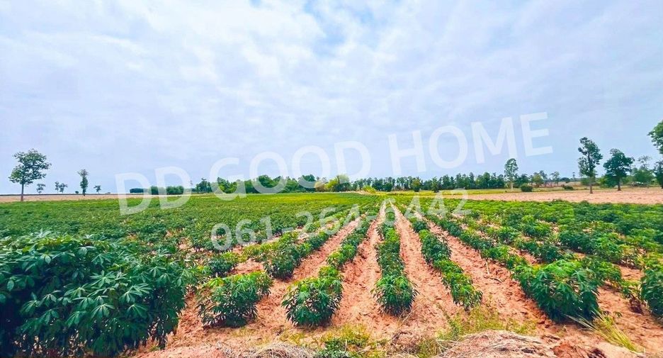 出售 土地 在 Non Sa-At, Udon Thani