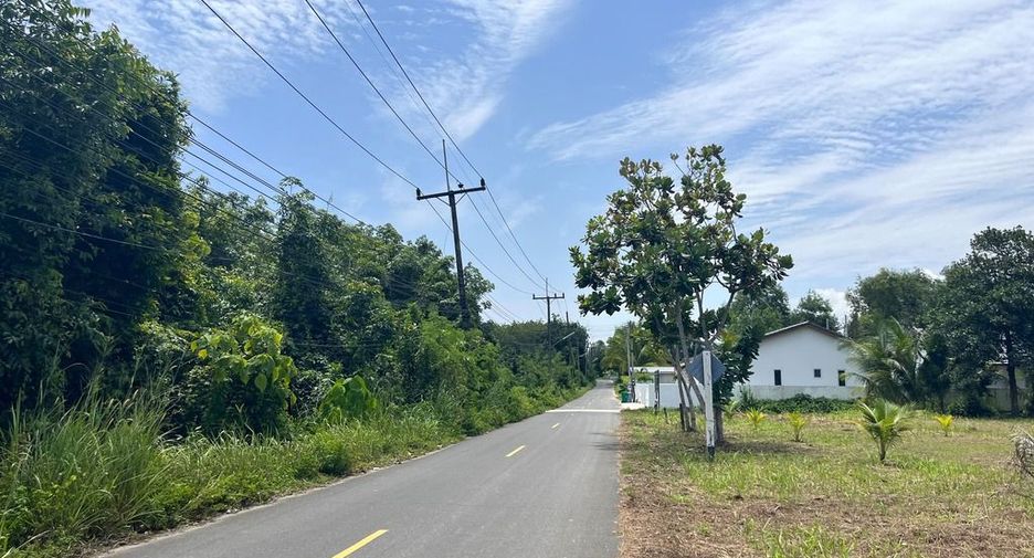 For sale land in Takua Thung, Phang Nga