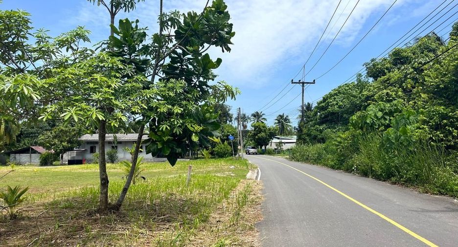 For sale land in Takua Thung, Phang Nga