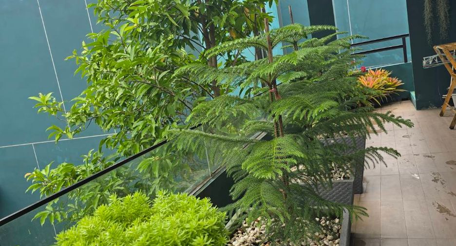 For sale 1 bed condo in Mueang Chiang Mai, Chiang Mai