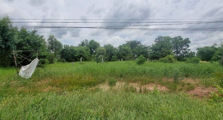 ขาย ที่ดิน ใน บ้านนา, นครนายก