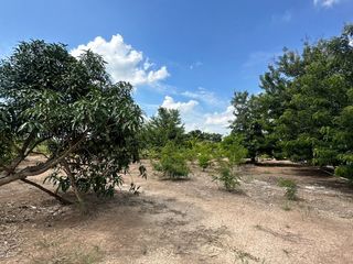 For sale land in Ongkharak, Nakhon Nayok