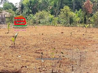 For sale land in Khuan Khanun, Phatthalung
