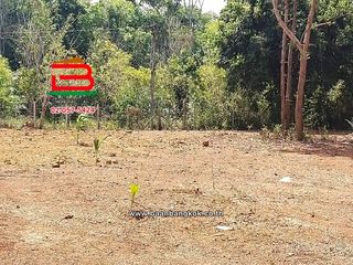For sale land in Khuan Khanun, Phatthalung