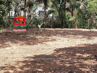 For sale land in Khuan Khanun, Phatthalung
