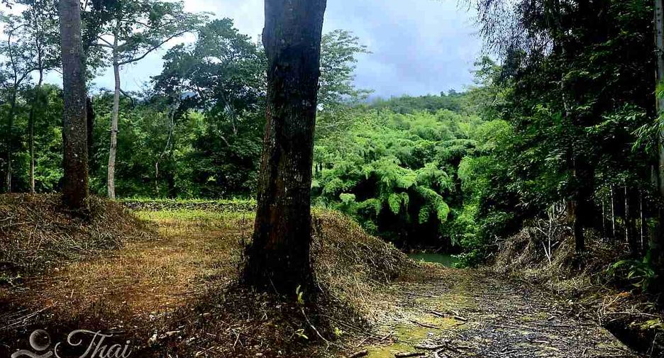 出售 土地 在 Thong Pha Phum, Kanchanaburi