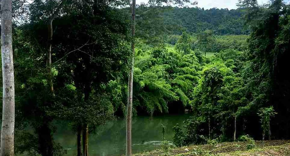 出售 土地 在 Thong Pha Phum, Kanchanaburi