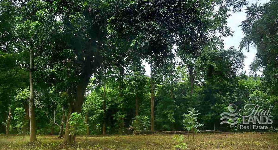 出售 土地 在 Thong Pha Phum, Kanchanaburi