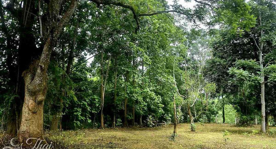 出售 土地 在 Thong Pha Phum, Kanchanaburi