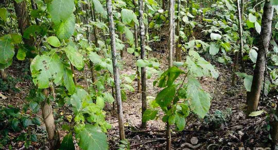 Продажа студия дом в Mueang Kanchanaburi, Канчанабури