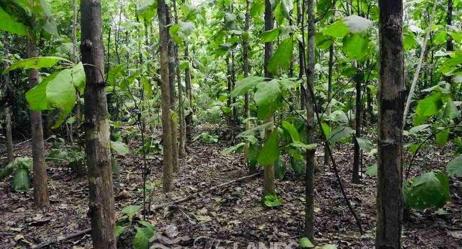 Продажа студия дом в Mueang Kanchanaburi, Канчанабури