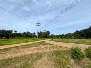 Grundstück zum Kauf in Mueang Krabi, Krabi