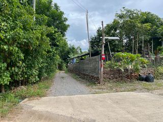 出售 土地 在 Ban Hong, Lamphun