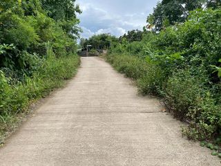 出售 土地 在 Ban Hong, Lamphun