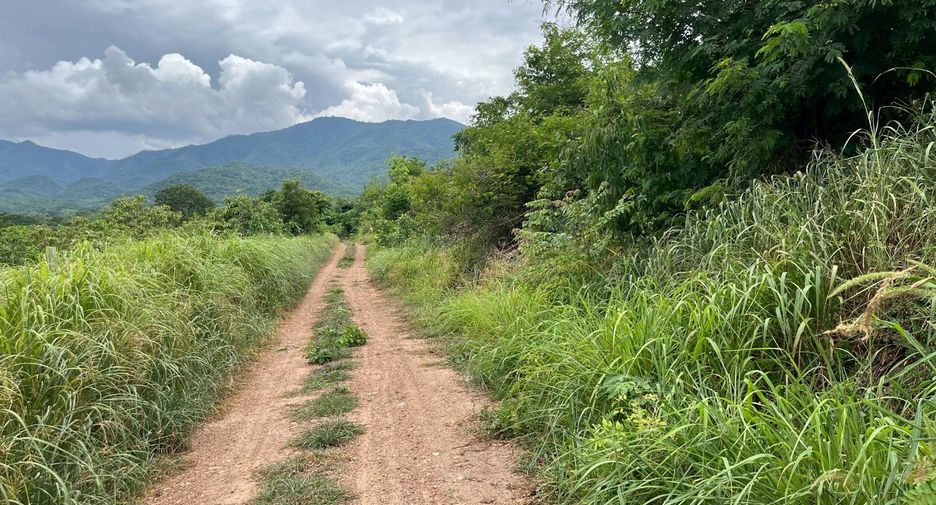 出售 土地 在 Ban Hong, Lamphun