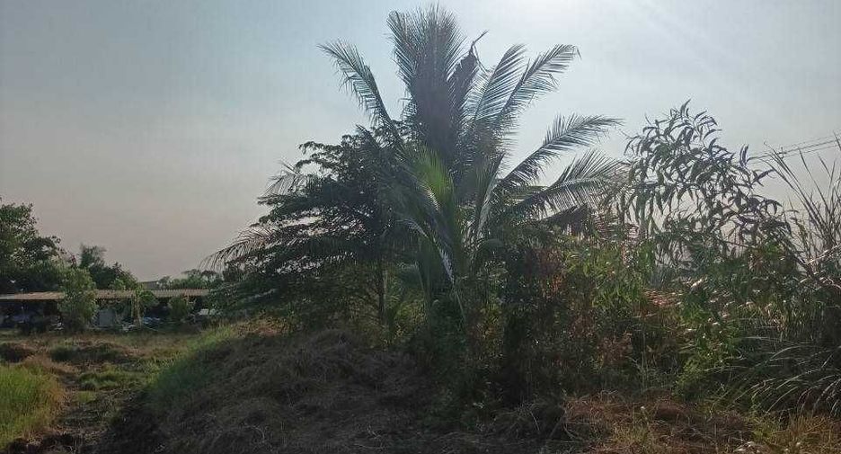 For sale land in Lam Luk Ka, Pathum Thani