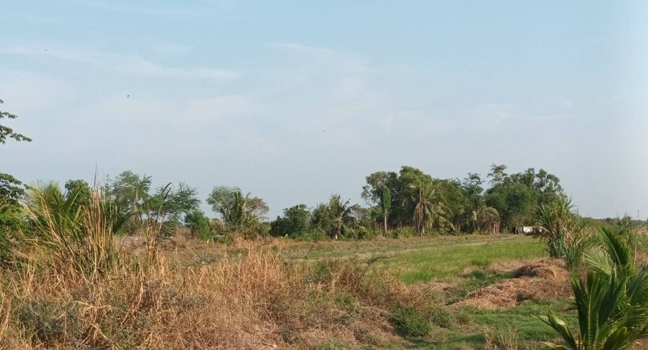 For sale land in Lam Luk Ka, Pathum Thani