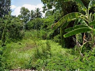 Terreno en venta en Nong Suea, Pathum Thani