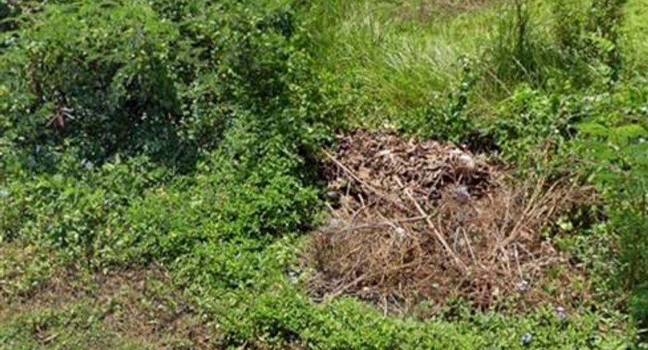 Terreno en venta en Nong Suea, Pathum Thani
