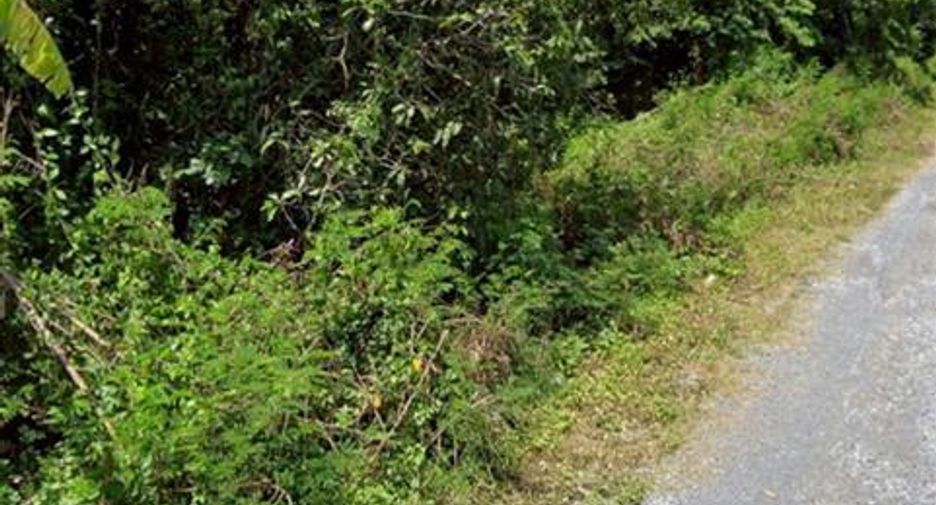 Terreno en venta en Nong Suea, Pathum Thani