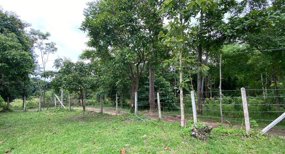 Terreno en venta en Mae Rim, Chiang Mai