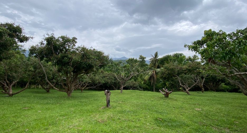 Terreno en venta en Mae Rim, Chiang Mai