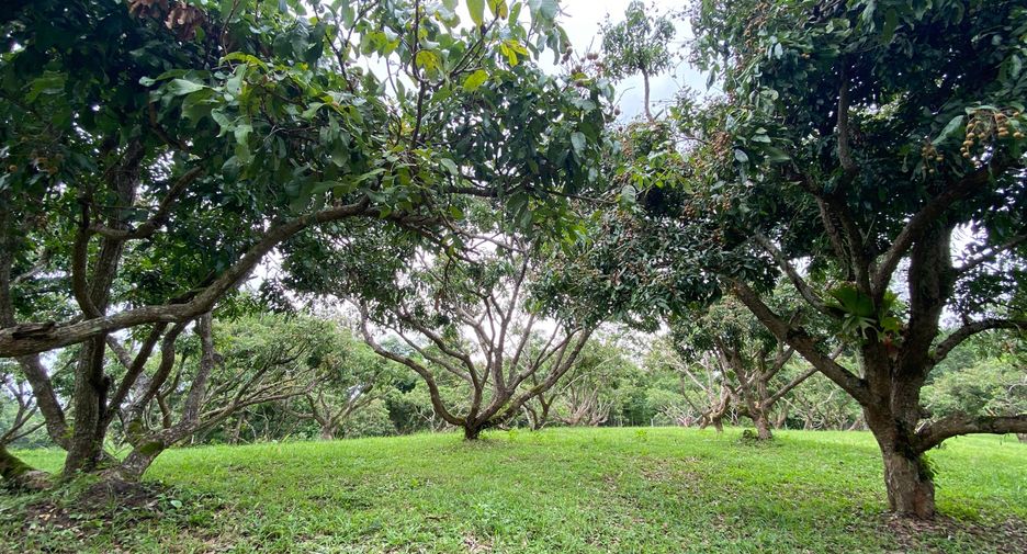 Terreno en venta en Mae Rim, Chiang Mai