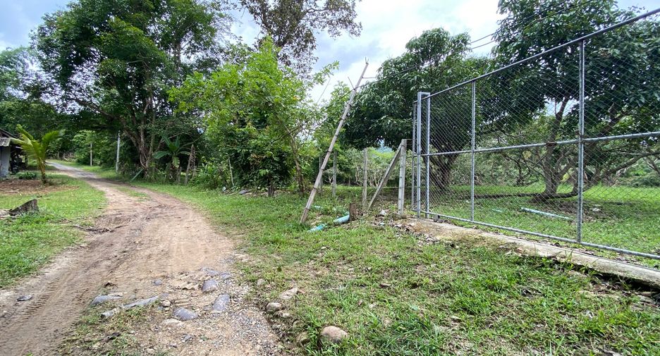Terreno en venta en Mae Rim, Chiang Mai