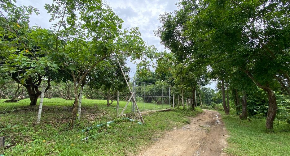 Terreno en venta en Mae Rim, Chiang Mai