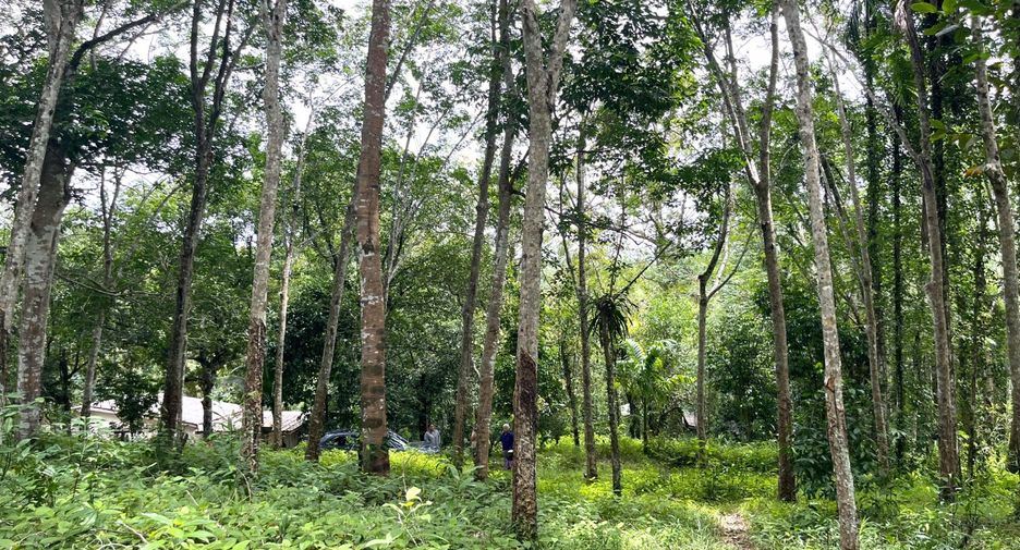 À vendre terrain à Takua Thung, Phang Nga