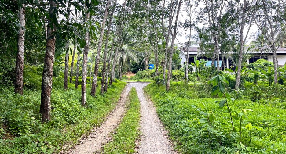 À vendre terrain à Takua Thung, Phang Nga