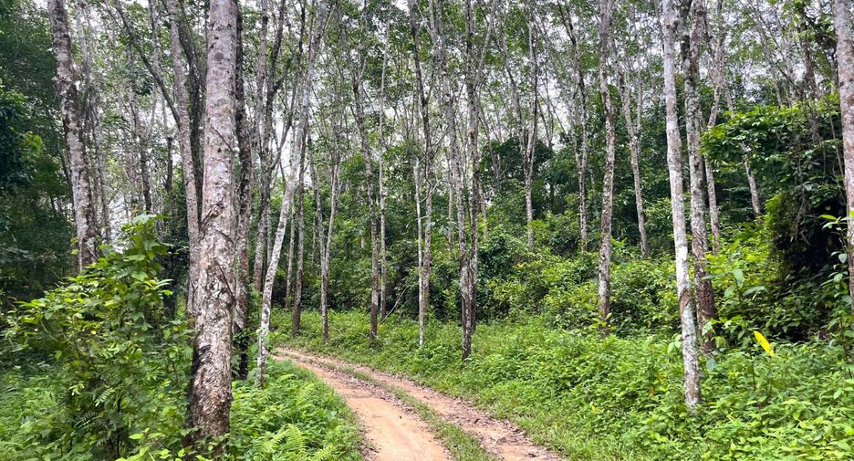 À vendre terrain à Takua Thung, Phang Nga