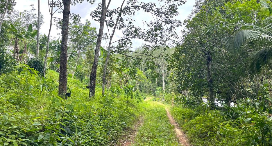 À vendre terrain à Takua Thung, Phang Nga