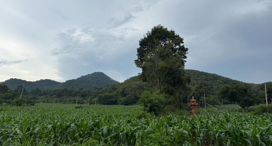 Grundstück zum Kauf in Pak Chong, Nakhon Ratchasima