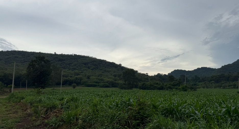 Grundstück zum Kauf in Pak Chong, Nakhon Ratchasima