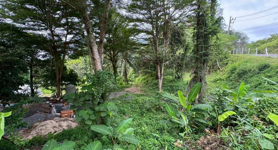 For sale 12 bedrooms house in Mueang Phuket, Phuket