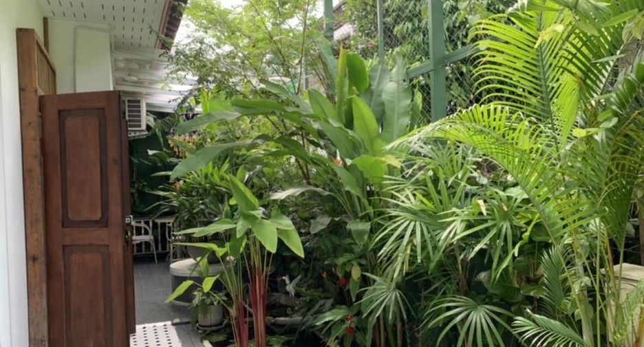 ให้เช่า 4 ห้องนอน บ้านเดี่ยว ใน เมืองเชียงใหม่, เชียงใหม่