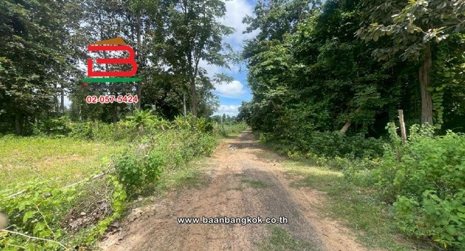 Продажа Участок в Nang Rong, Buri Ram