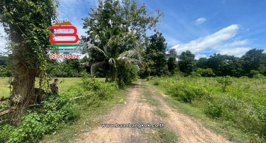 Продажа Участок в Nang Rong, Buri Ram