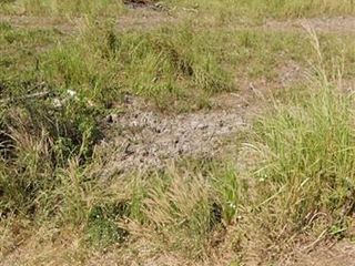 For sale land in Lam Luk Ka, Pathum Thani