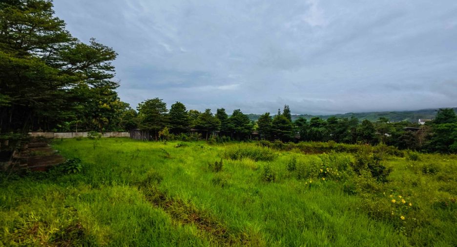 For sale 16 bedrooms hotel in Khao Kho, Phetchabun