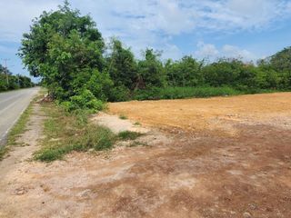 出售 土地 在 Mueang Chachoengsao, Chachoengsao