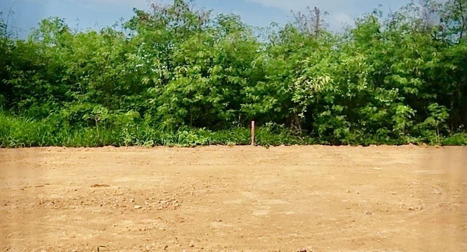 出售 土地 在 Mueang Chachoengsao, Chachoengsao