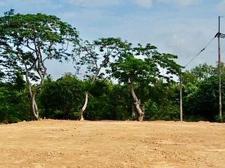 出售 土地 在 Mueang Chachoengsao, Chachoengsao