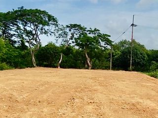 出售 土地 在 Mueang Chachoengsao, Chachoengsao