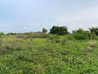 Terreno en venta en Doi Saket, Chiang Mai