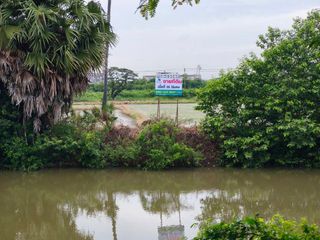 For sale land in Sam Khok, Pathum Thani